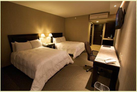 Двухместный (Двухместный номер Делюкс с 1 кроватью) отеля Hotel Gobernador, Дуранго