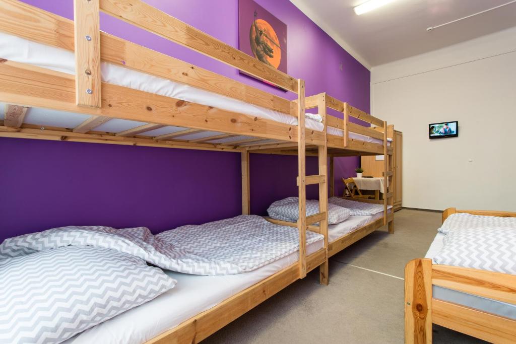 Номер (Общий номер с общей ванной комнатой (для 5 взрослых)), Moon Hostel