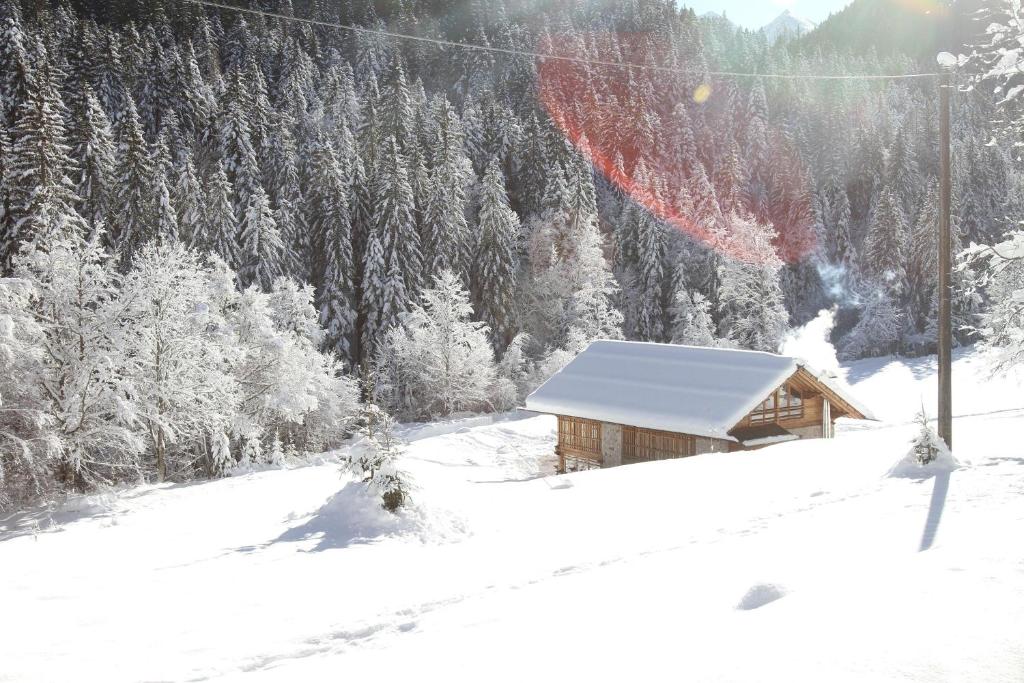 Четырехместный (Четырехместный номер с ванной комнатой), Pra de la Casa