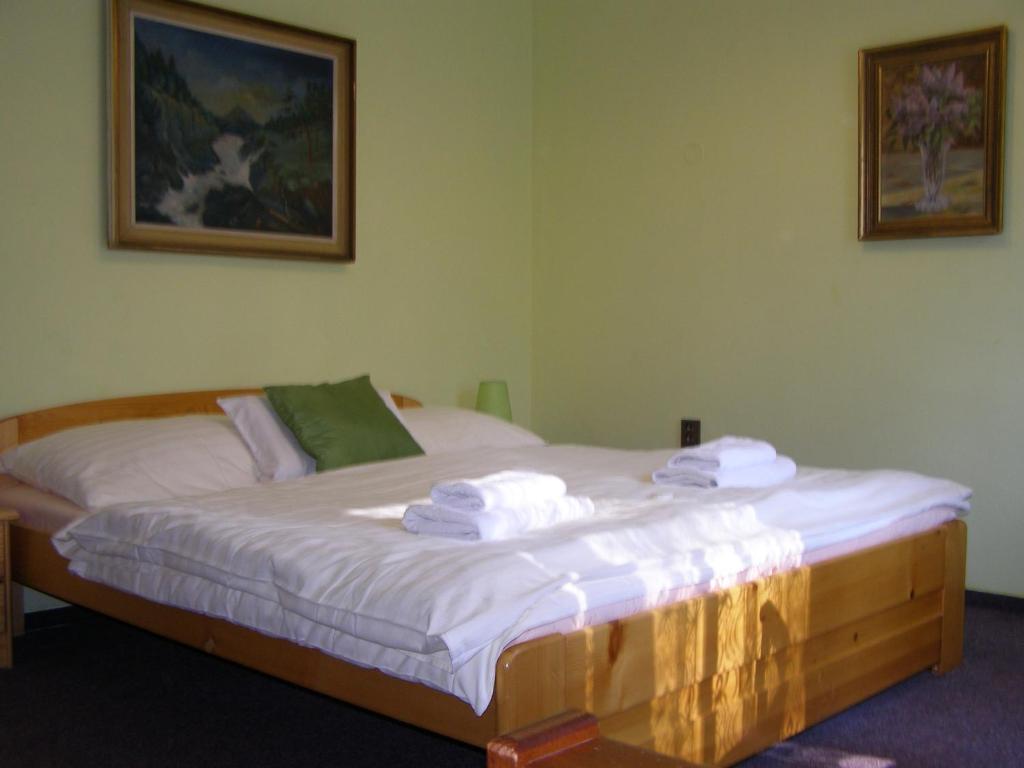 Двухместный (Двухместный номер с 1 кроватью или 2 отдельными кроватями, вид на сад) отеля Belveder, Хренско