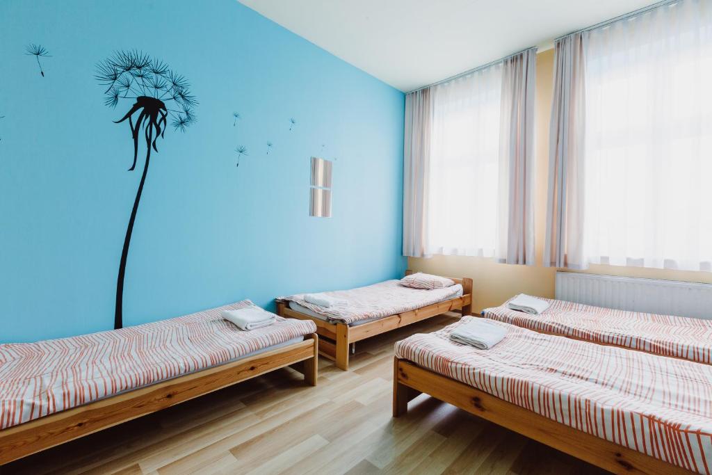 Четырехместный (Четырехместный номер с общей ванной комнатой), Hostel Tara