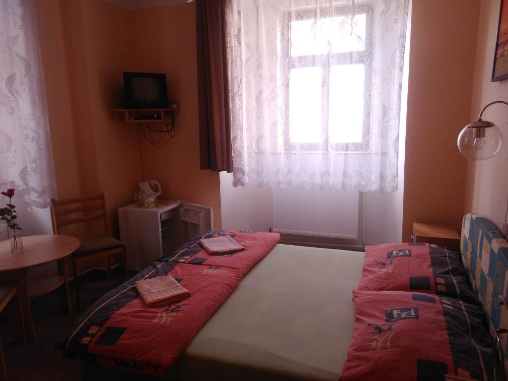Двухместный (Двухместный номер с 1 кроватью) гостевого дома Penzion U Kašny, Ческа-Каменице