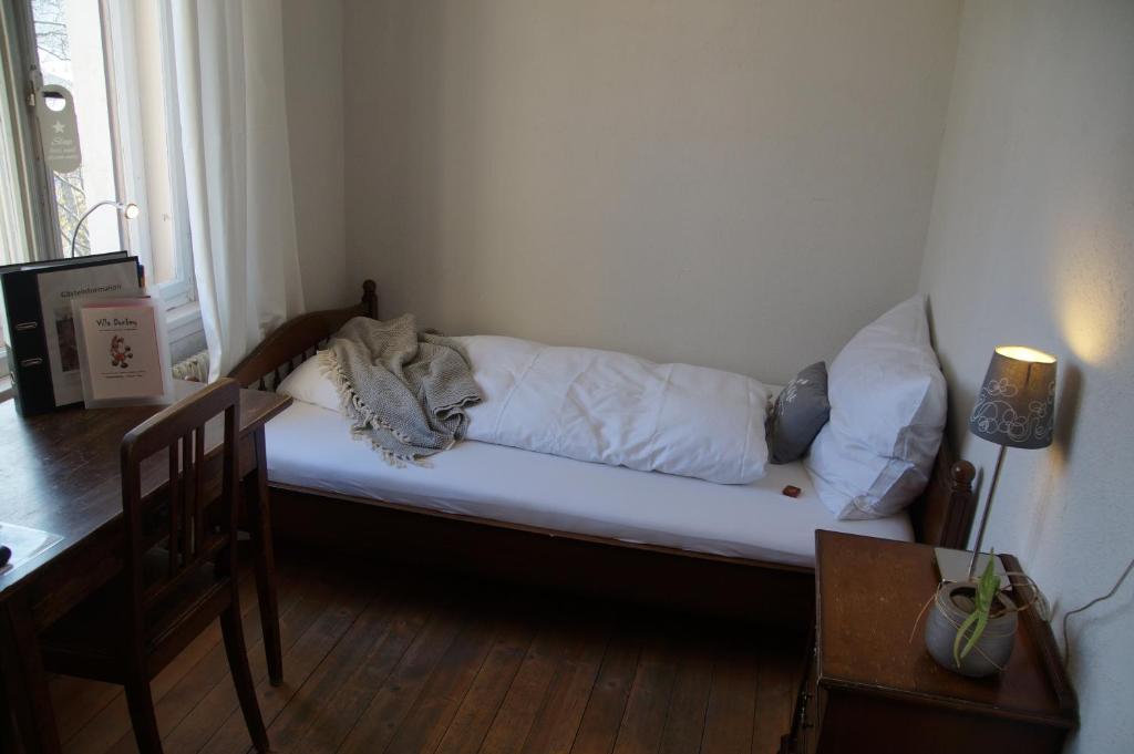 Одноместный (Одноместный номер с общей ванной комнатой — 2 этаж) гостевого дома Villa Donkey, Санкт-Галлен