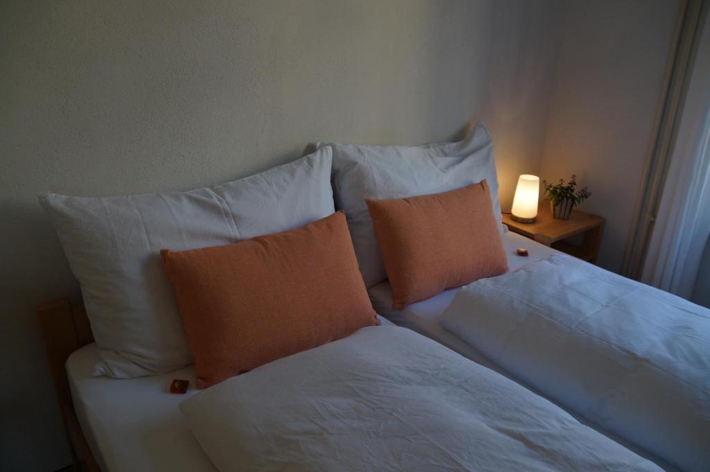 Двухместный (Двухместный номер с 2 отдельными кроватями и общей ванной комнатой — 2 этаж) гостевого дома Villa Donkey, Санкт-Галлен
