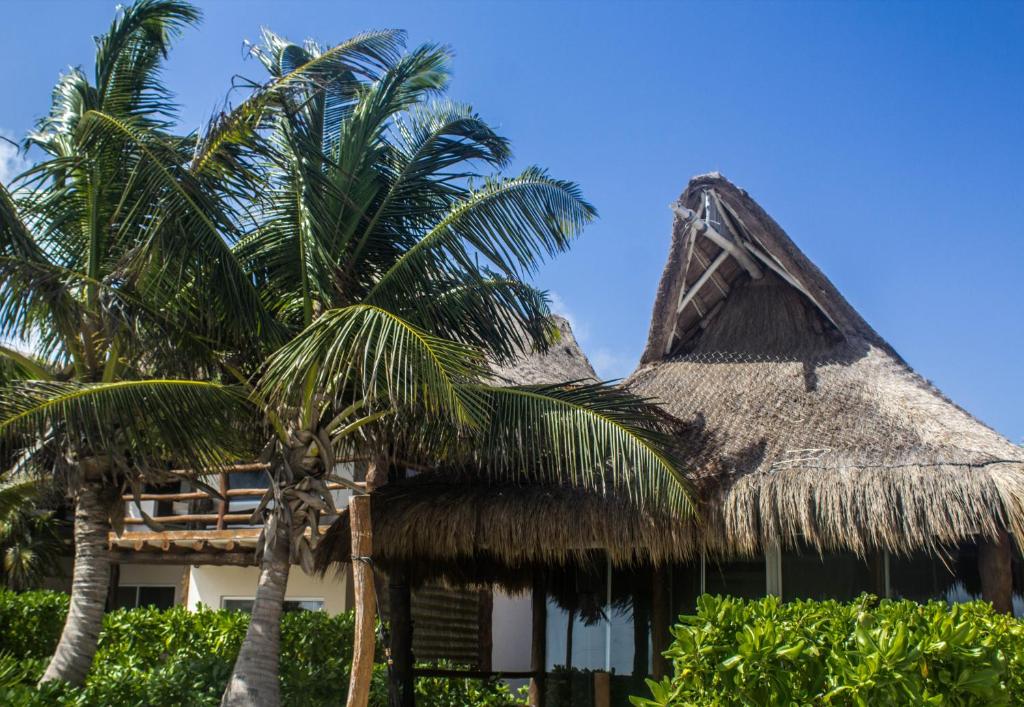 Сьюит (Люкс «Арена» - Рядом с пляжем), Alma Tulum Hotel Boutique