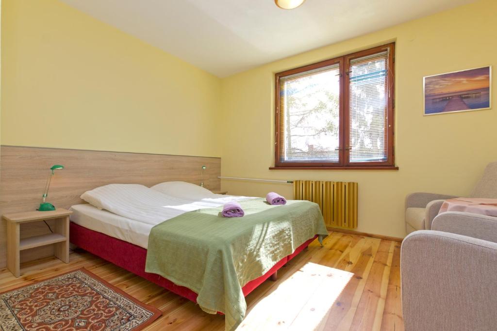 Двухместный (Двухместный номер с 1 кроватью или 2 отдельными кроватями) отеля Pensjonat Linne, Ястшембя Гора