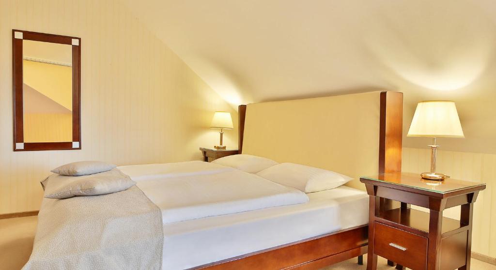 Двухместный (Стандартный двухместный номер с 1 кроватью) отеля Sun, Марианские Лазне