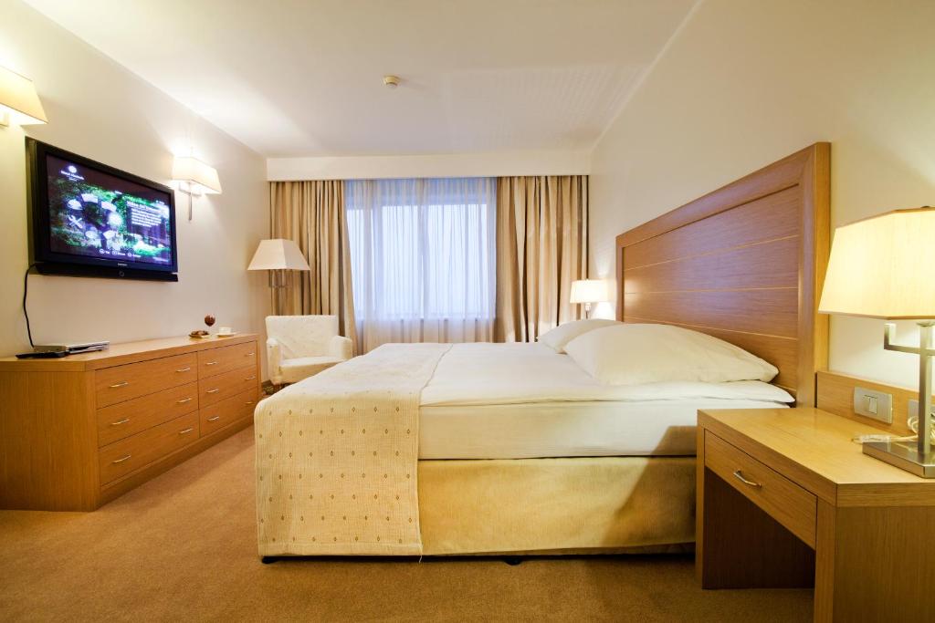 Двухместный (Стандартный номер с кроватью размера «king-size») отеля Marinela Sofia, София