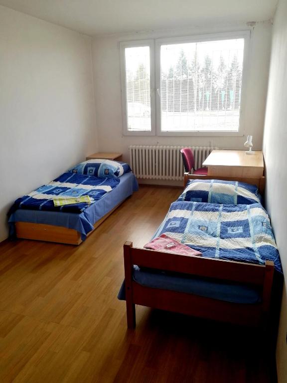 Двухместный (Двухместный номер с 2 отдельными кроватями и общей ванной комнатой) хостела Hostel Blanice, Прага