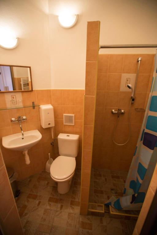 Двухместный (Стандартный двухместный номер с 1 кроватью или 2 отдельными кроватями) гостевого дома Hotel Jeleň, Пезинок