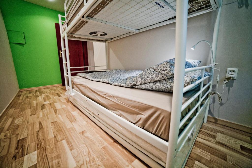 Двухместный (Бюджетный двухместный номер с 1 кроватью), Tapir Hostel