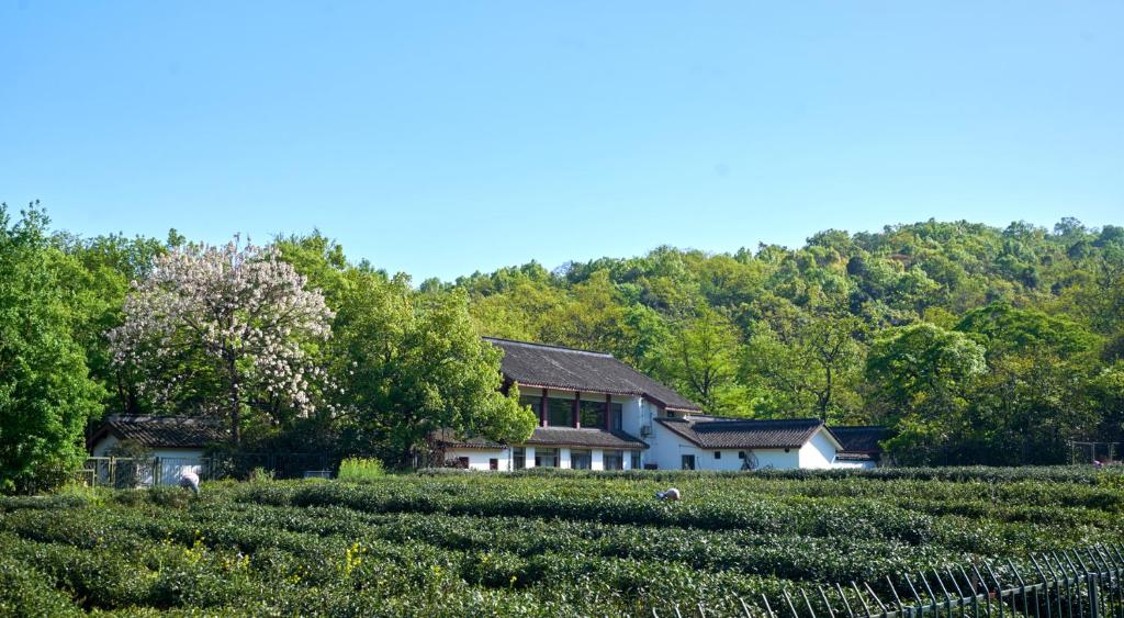 Двухместный (Улучшенный двухместный номер с 1 кроватью), Hangzhou Jingjing Home Boutique Inn