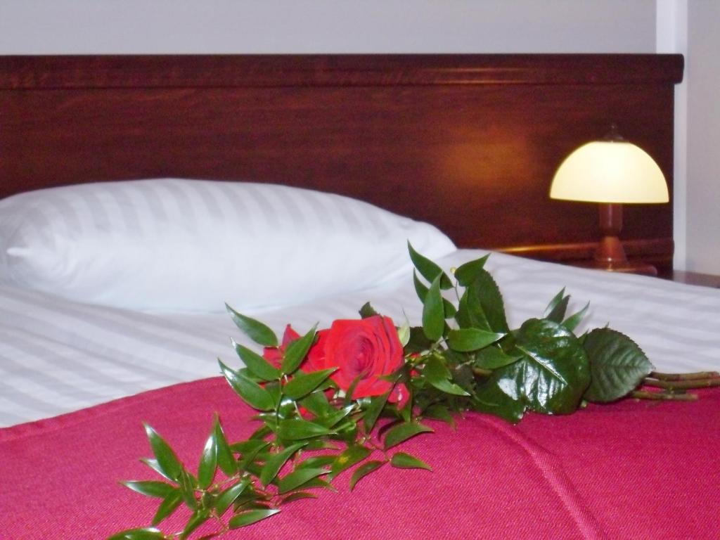 Двухместный (Номер Делюкс с кроватью размера «queen-size») отеля Hotelik Mazurska Chata - close to aquapark, Миколайки