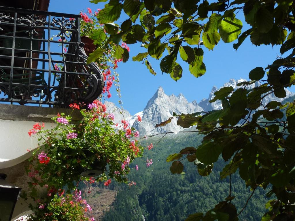 Одноместный (Одноместный номер с видом на горы) отеля Hotel Du Clocher, Шамони-Мон-Блан