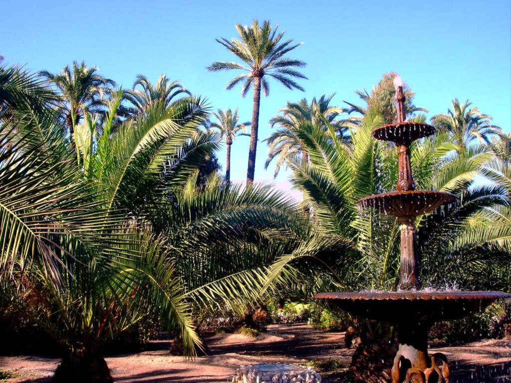 Апартаменты (Апартаменты с террасой), Apartments Concha del Mar