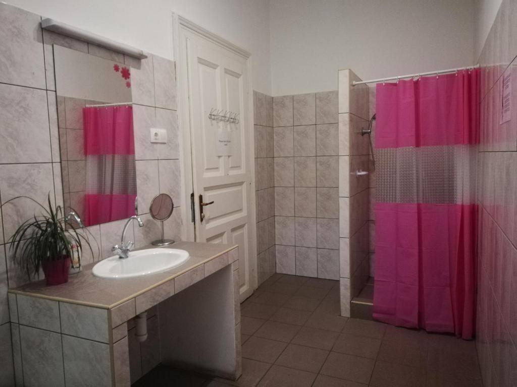 Номер (Кровать в общем женском номере с 8 кроватями и собственной ванной комнатой) хостела Unity Hostel at Udvarom, Будапешт