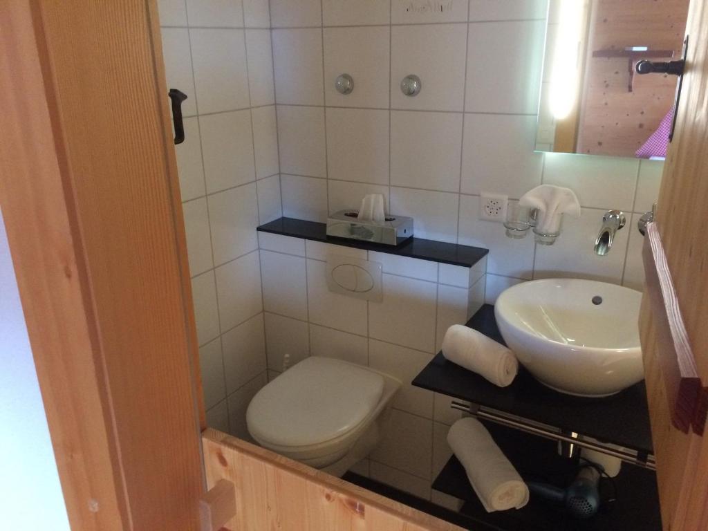 Двухместный (Двухместный номер с 1 кроватью и собственной ванной комнатой) отеля Hotel Meielisalp, Лайссиген