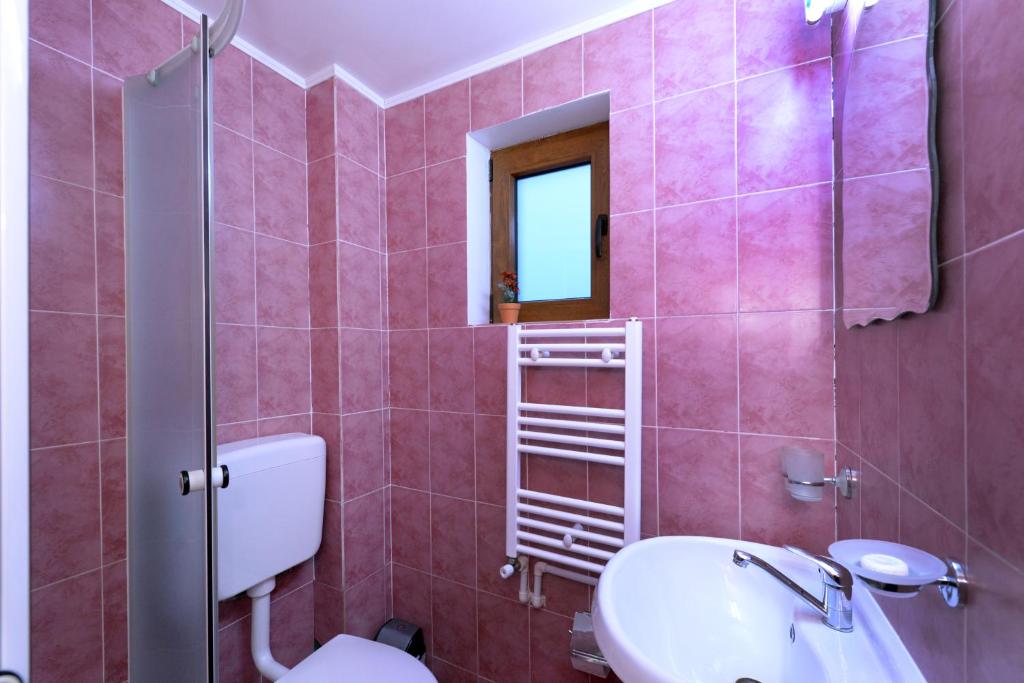 Трехместный (Трехместный номер с ванной комнатой) гостевого дома Pensiunea Dana, Ватра-Дорней