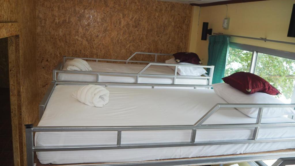 Номер (Кровать в общем 6-местном номере для женщин), Chaokoh Dorm Room