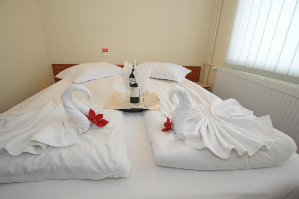 Двухместный (Двухместный номер эконом-класса с 2 отдельными кроватями) отеля Hotel Titanium Azuga, Азуга