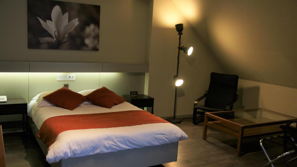 Двухместный (Стандартный двухместный номер с 1 кроватью или 2 отдельными кроватями) отеля De Basiliek, Антверпен