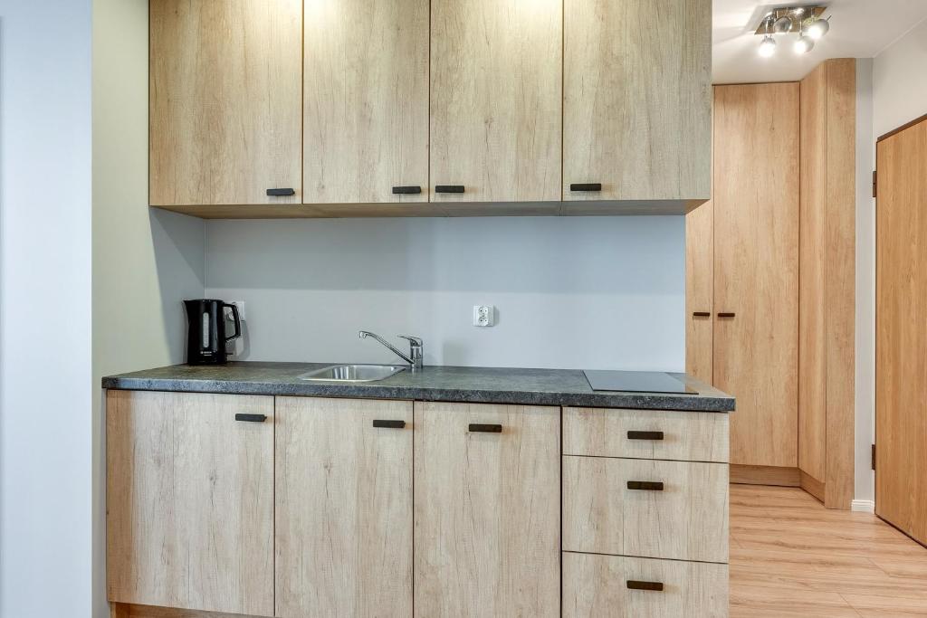 Апартаменты (Апартаменты с 1 спальней и балконом (парковка)), Angielska Grobla Apartinfo Apartments