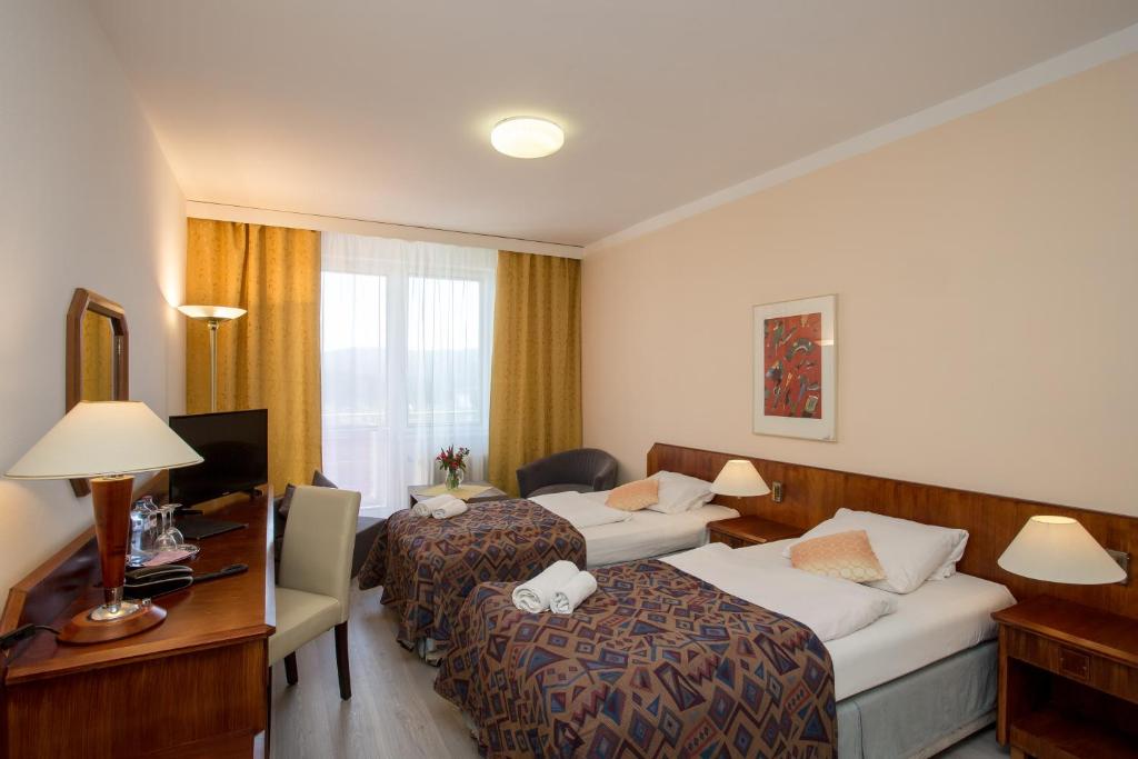 Двухместный (Двухместный номер с 1 кроватью или 2 отдельными кроватями) отеля Fontána Lipno, Горни-Плана