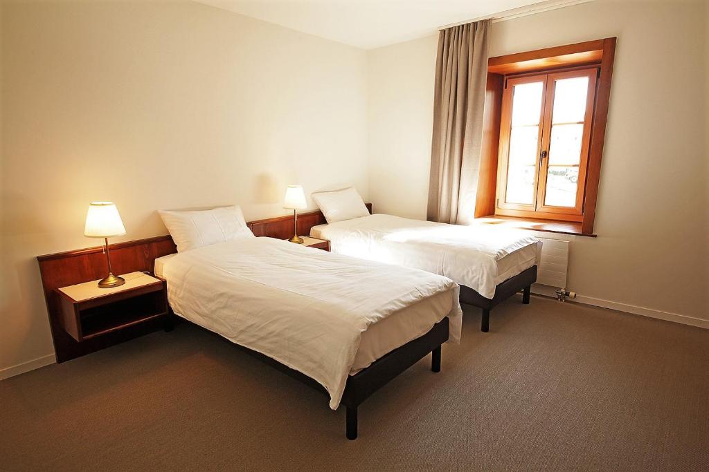 Двухместный (Двухместный номер с 2 отдельными кроватями) отеля GALION Hôtel, Restaurant et Pub, Лозанна