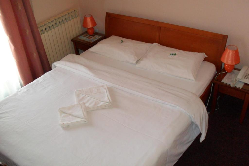 Двухместный (Двухместный номер с 1 кроватью) отеля Hotel Vila Sunce, Стара-Пазова