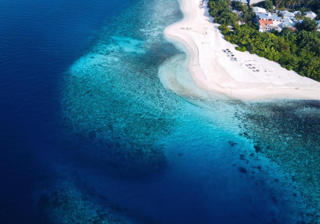 Reethi Beach Reef