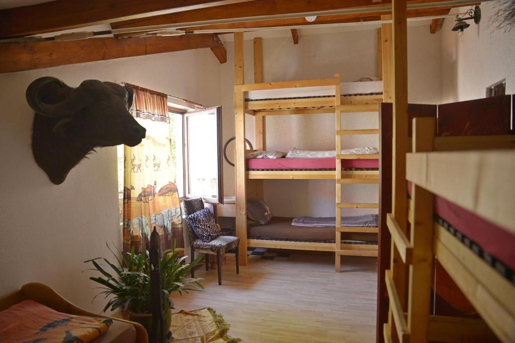 Номер (Кровать в общем 6-местном номере для мужчин и женщин) хостела Gerry `s Backpacker, Констанц (Боденское озеро)