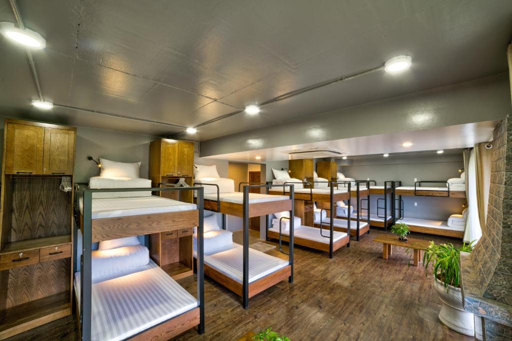 Номер (Спальное место на двухъярусной кровати в общем номере для мужчин и женщин) хостела Lustig Hostel, Сапа