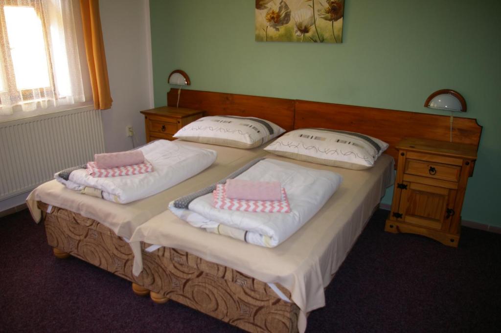 Двухместный (Двухместный номер с 2 отдельными кроватями) гостевого дома Penzion Koudela, Ческа-Каменице