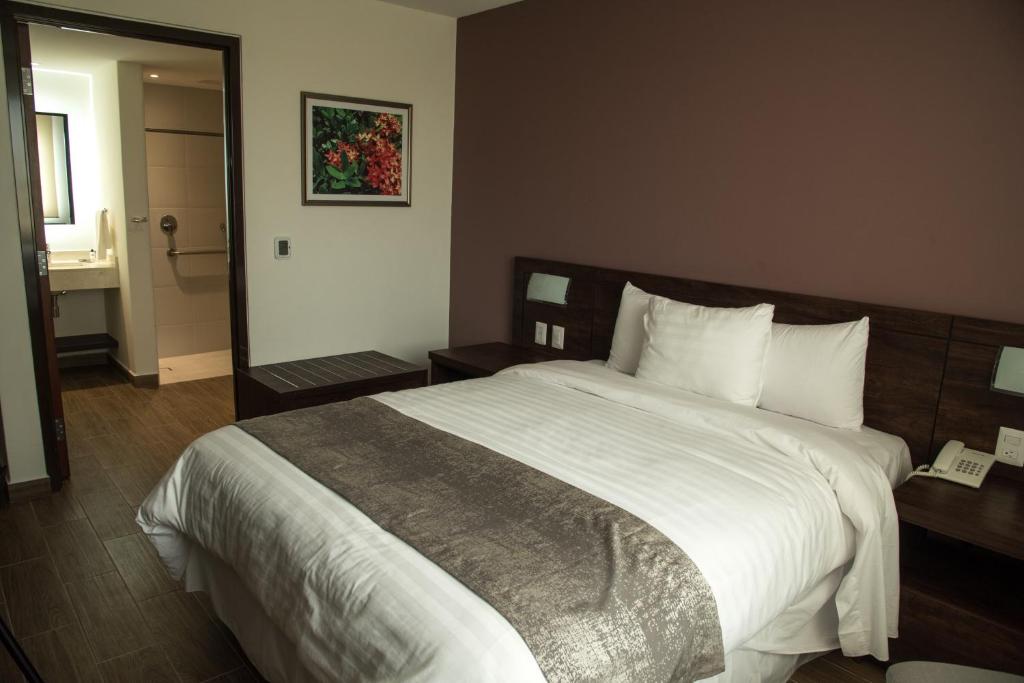 Двухместный (Двухместный номер с 1 кроватью - Подходит для гостей с ограниченными физическими возможностями) отеля Lithio Hotel, Веракрус
