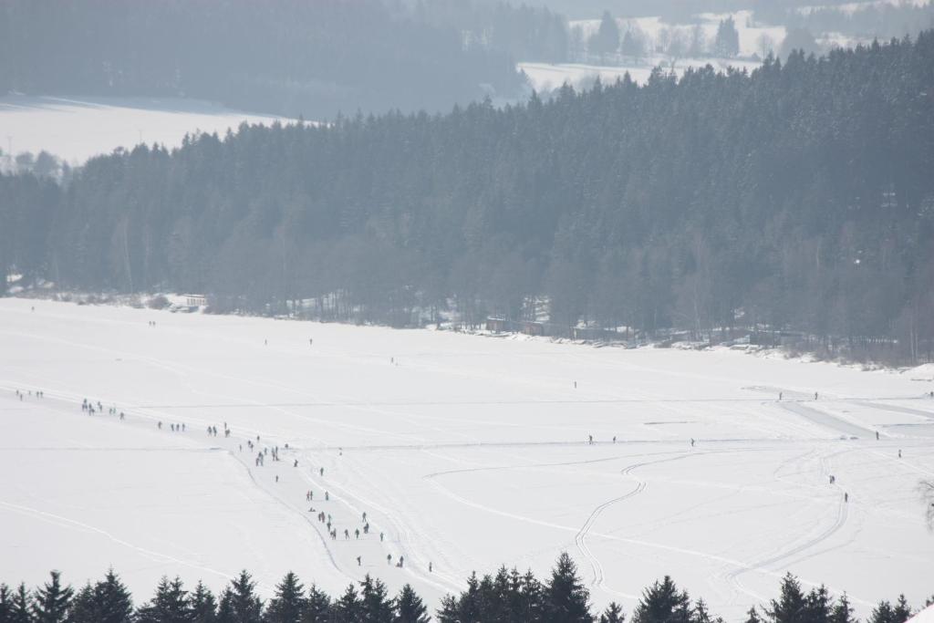 Номер (Дом для отпуска), Отель Park Lipno-Lipno-In