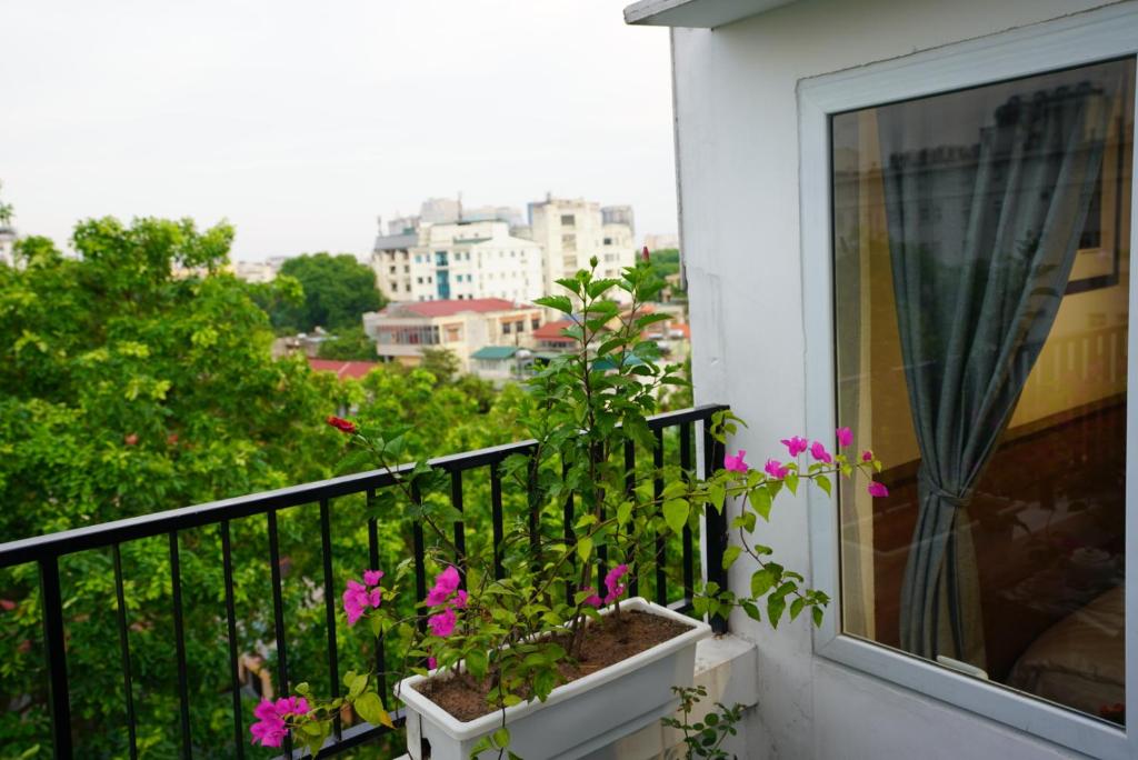 Апартаменты (Апартаменты с террасой), Elegant Studio Yet Kieu