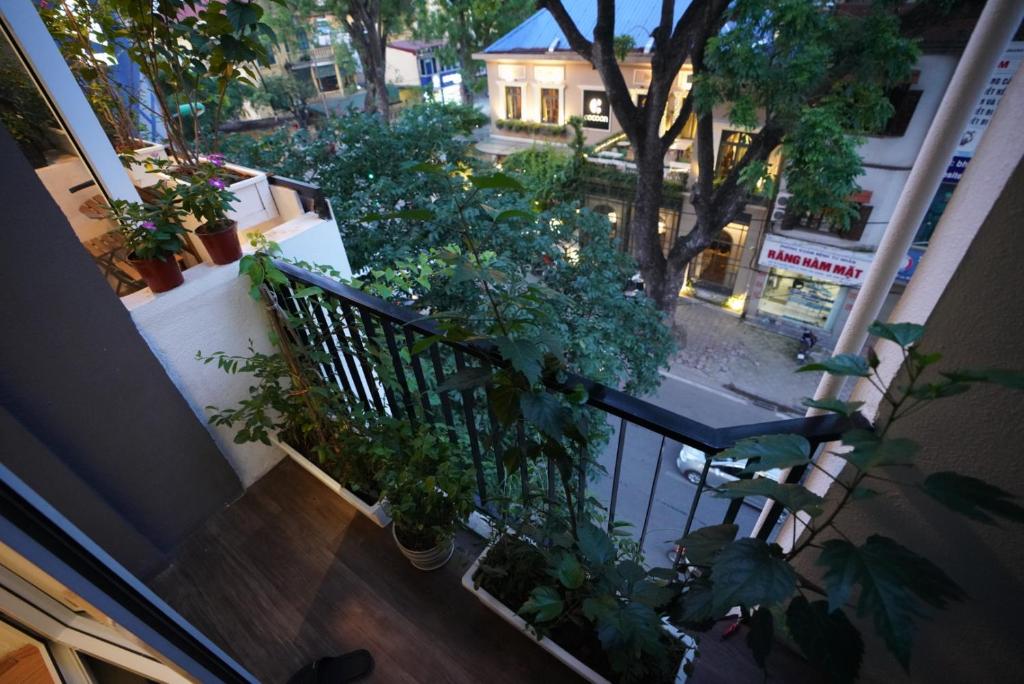 Апартаменты (Апартаменты с балконом), Elegant Studio Yet Kieu