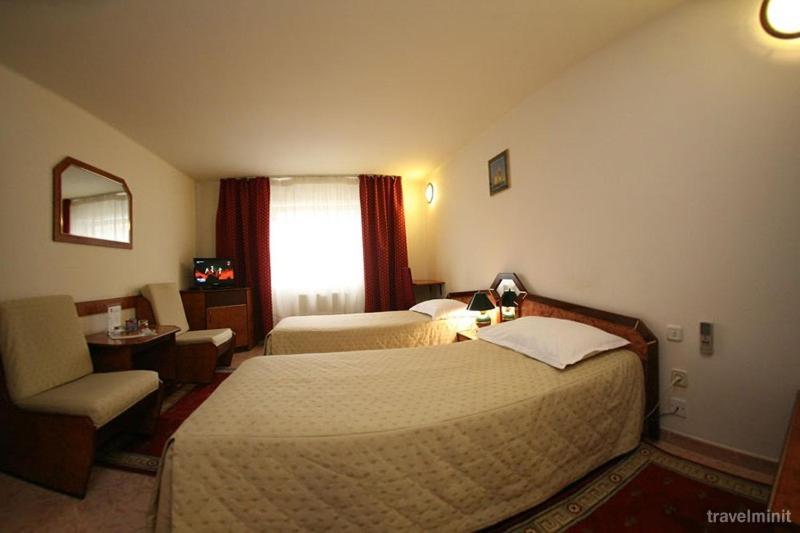 Двухместный (Двухместный номер с 2 отдельными кроватями) отеля Euro Hotel, Тимишоара