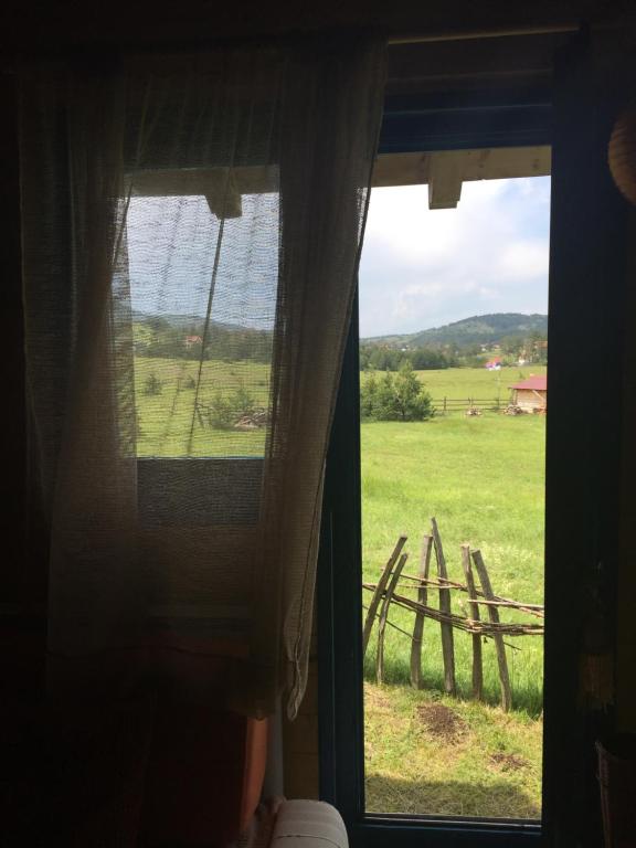 Апартаменты (Апартаменты - 1-й этаж), Ethno Homestay Savić