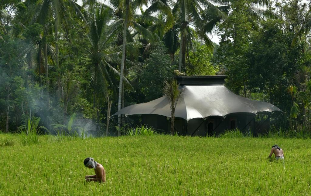 Сьюит (Шатер Terrace - Номер с кроватью «king-size» и бесплатным преимуществом), Capella Ubud, Bali