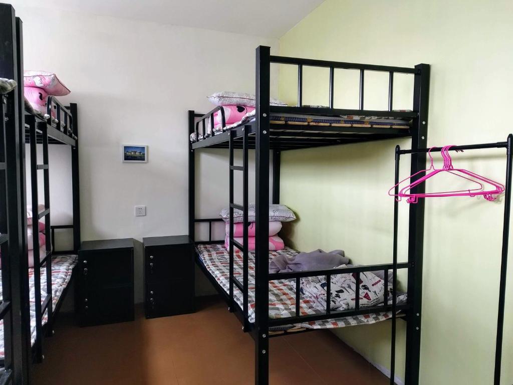 Номер (Спальное место на двухъярусной кровати в общем номере для женщин) семейного отеля Loving Chengdu Youth Hostel, Чэнду