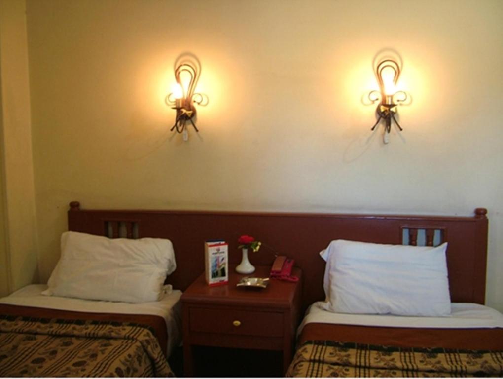 Двухместный (Двухместный номер с 2 отдельными кроватями и видом на реку) отеля Orchida St. George Hotel, Асуан