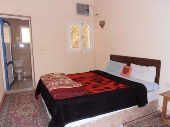 Двухместный (Двухместный номер Делюкс с 1 кроватью или 2 отдельными кроватями) отеля Desert Safari Home, Бауити