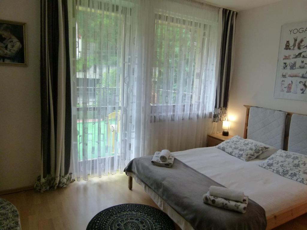 Двухместный (Двухместный номер с 1 кроватью и террасой) семейного отеля Willa Krystyna, Крыница