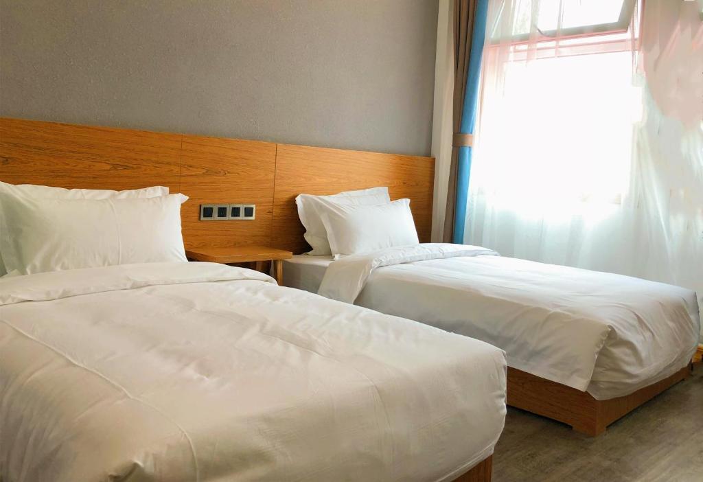 Двухместный (Двухместный номер с 2 отдельными кроватями и окном) отеля Yijia Youth Hostel, Лоян