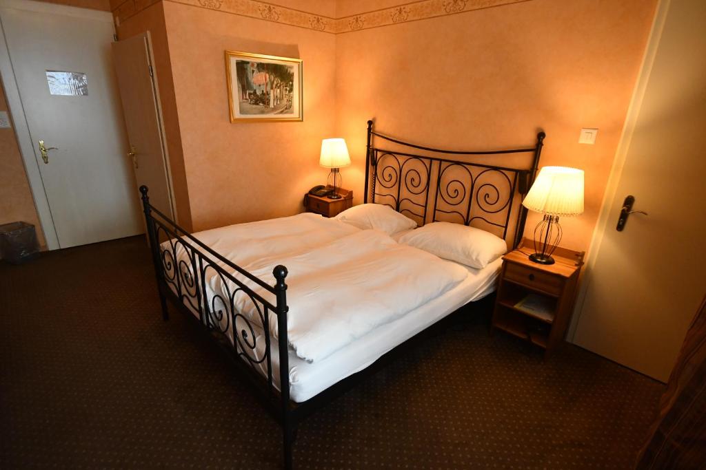 Двухместный (Двухместный номер с 1 кроватью, вид на озеро) отеля Hotel Splendid, Монтрё