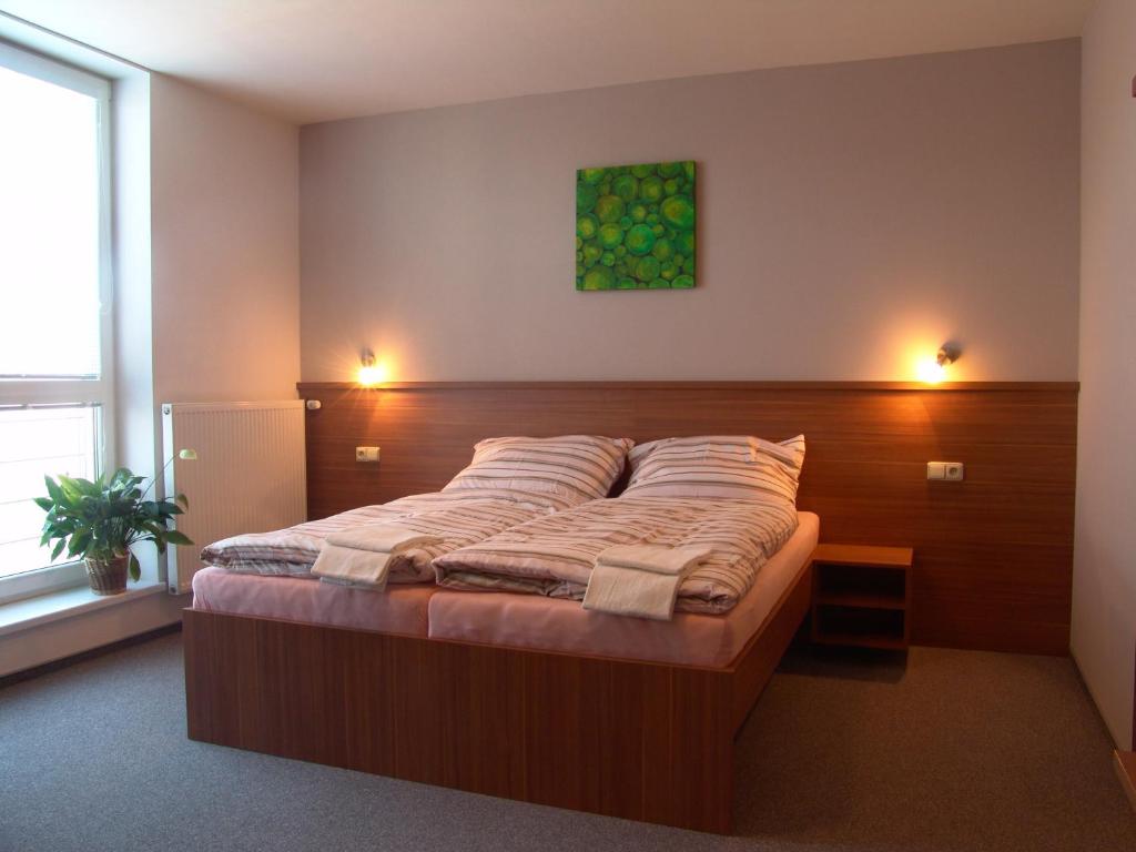 Двухместный (Двухместный номер с 1 кроватью или 2 отдельными кроватями) гостевого дома Penzion Ruland, Брно