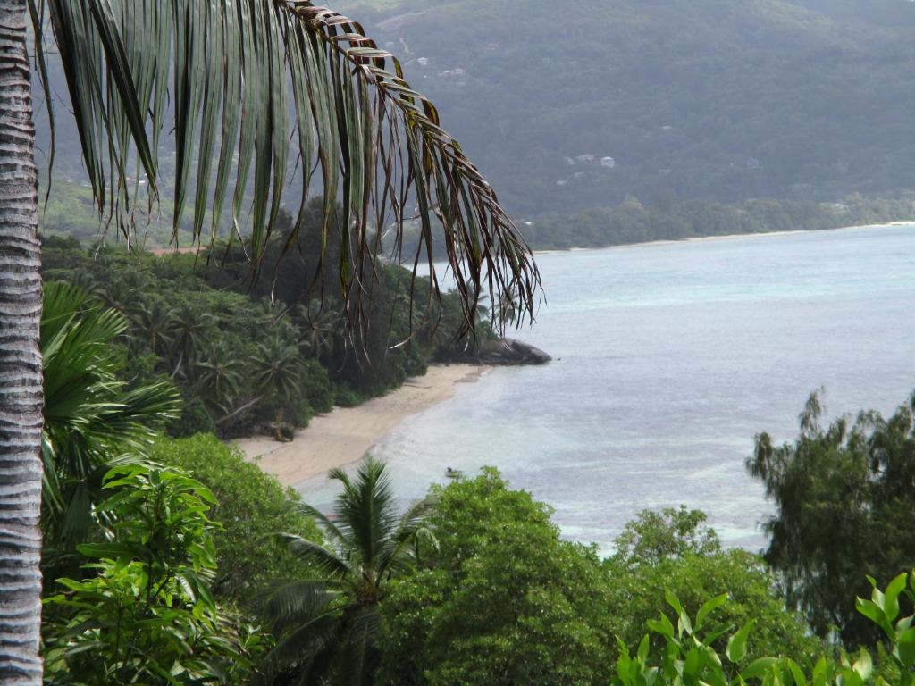 Номер (Шале «1» с 1 спальней), Chalets Bougainville