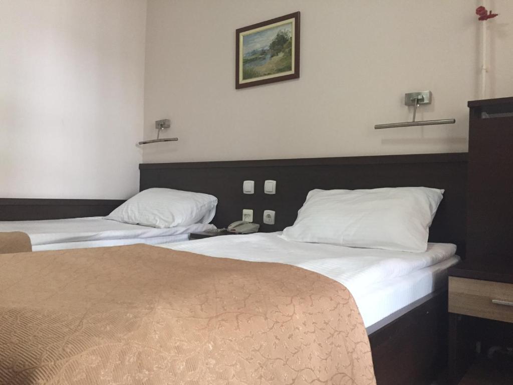 Двухместный (Стандартный двухместный номер с 1 кроватью) курортного отеля Hotel Radan Prolom Banja, Проломска-Банья