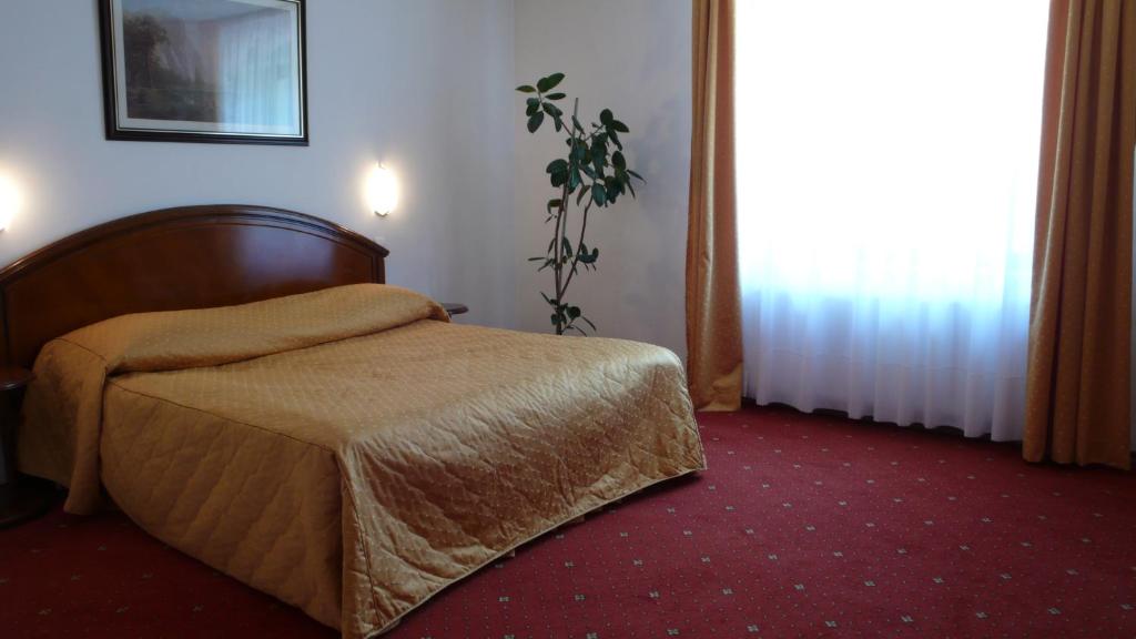 Двухместный (Двухместный номер с 1 кроватью) отеля Hotel Ruia, Брашов